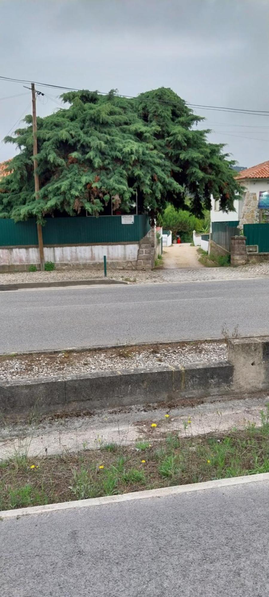 O Meu Canto Sintra Exterior foto